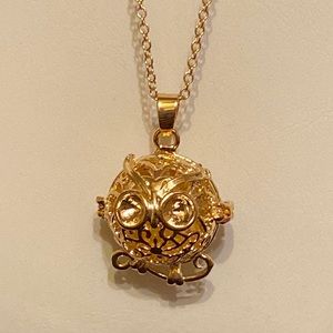Gold Tone Angry Owl Aromatherapy Diffuser Necklace
